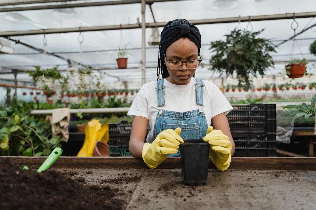 2027 Most Affordable Online Master’s Degree in Sustainability Programs thumbnail