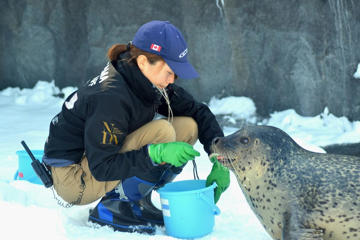 2027 How To Become a Zoologist? Salary & Career Paths thumbnail