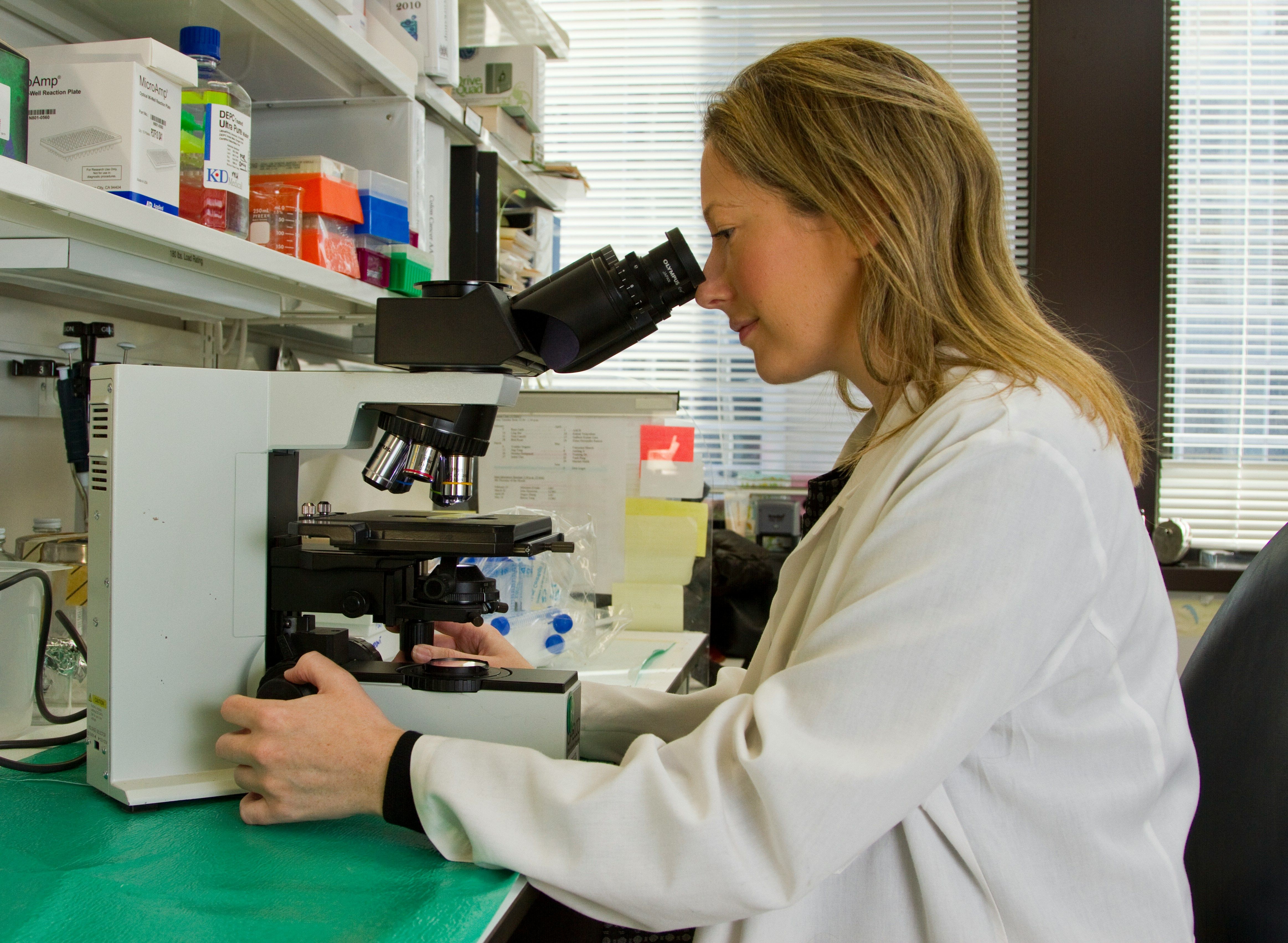 2027 Most Affordable Online Biology Degree Programs thumbnail
