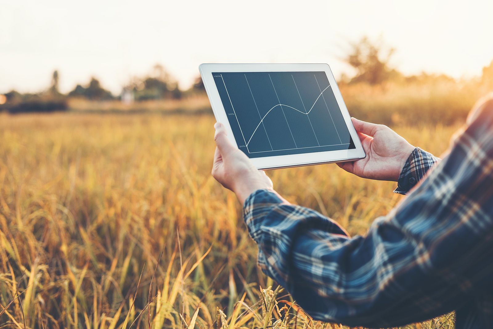 2027 What Can You Do with an Online Sustainability Master’s Program? thumbnail