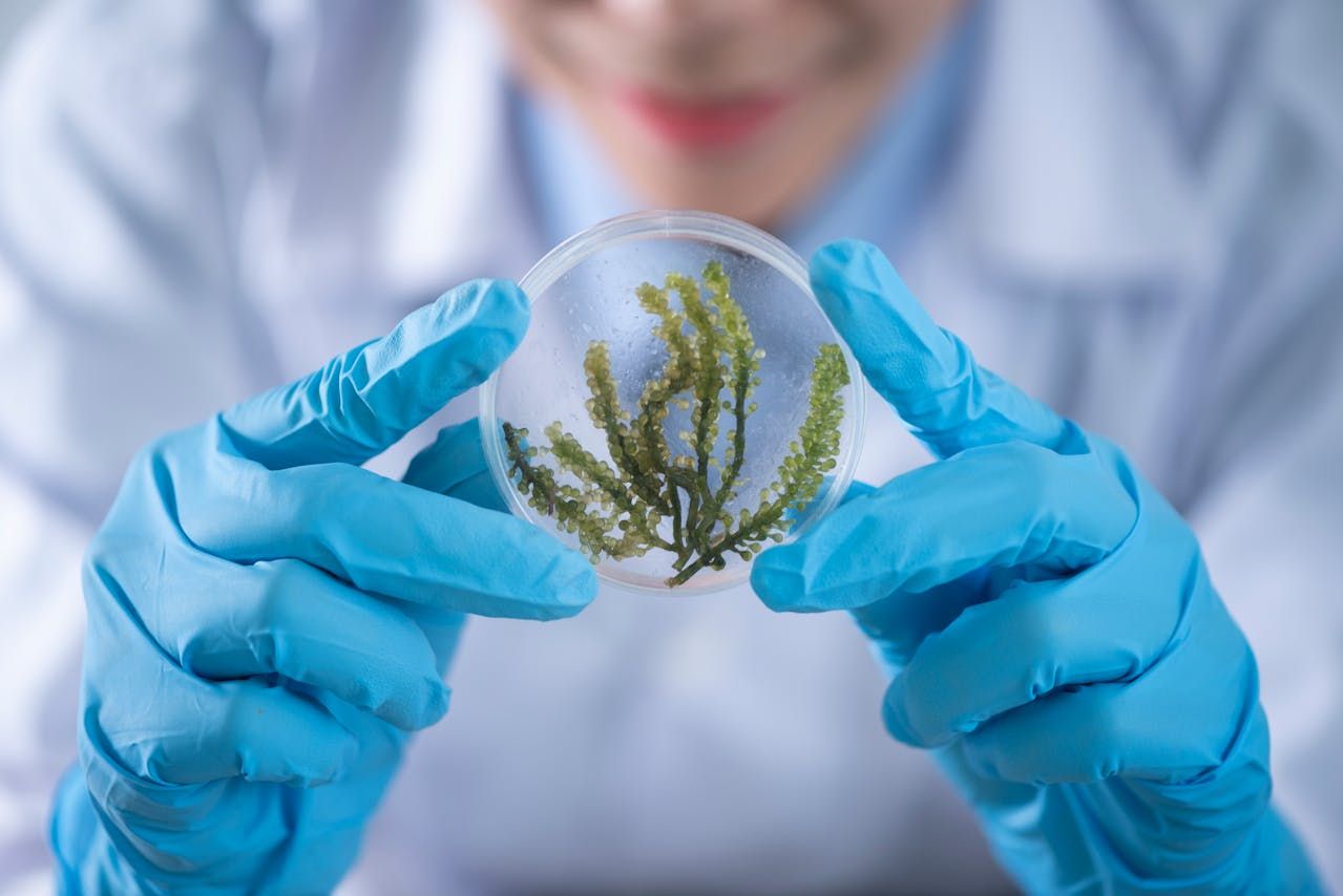 2027 Easiest Biology Degree Programs thumbnail