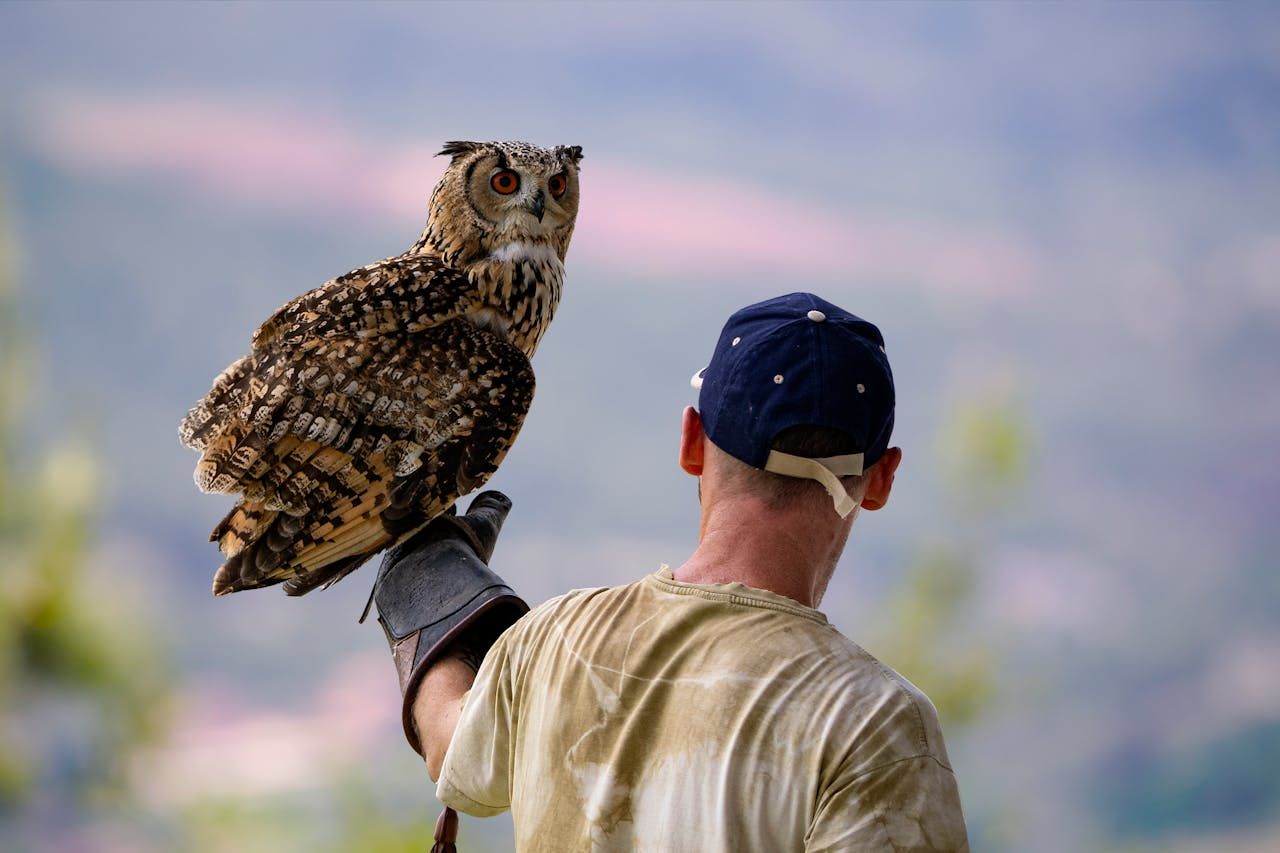 2027 How to Become a Wildlife Forensics Specialist: Salary & Career Paths thumbnail