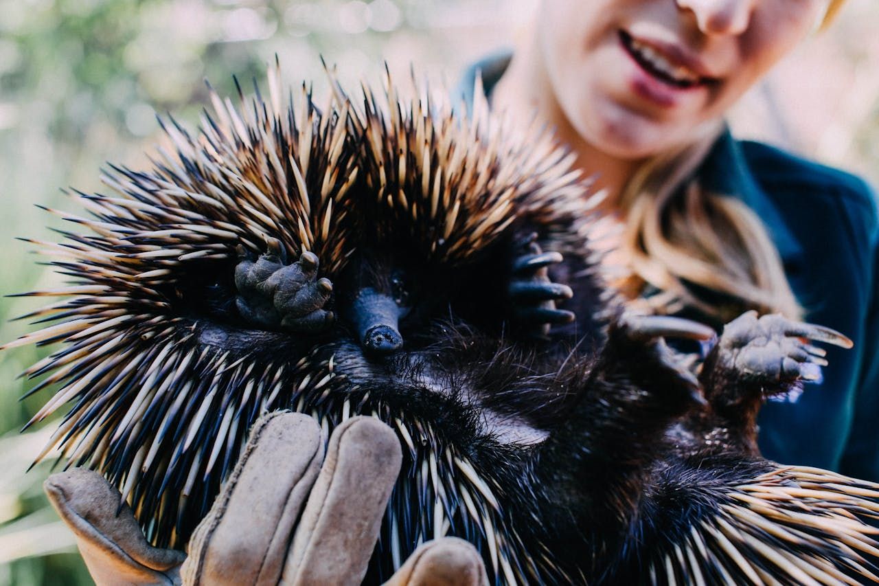 2027 How to Become a Wildlife Biologist? Salary & Career Paths thumbnail