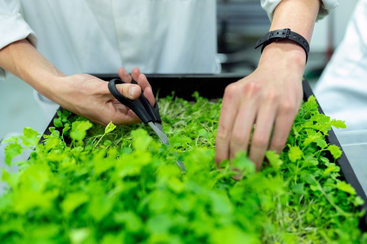 2027 Fastest Online MBA Programs in Sustainability thumbnail