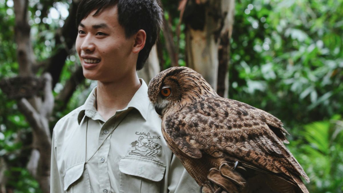 2027 How To Become a Conservationist? Salary And Career Paths thumbnail