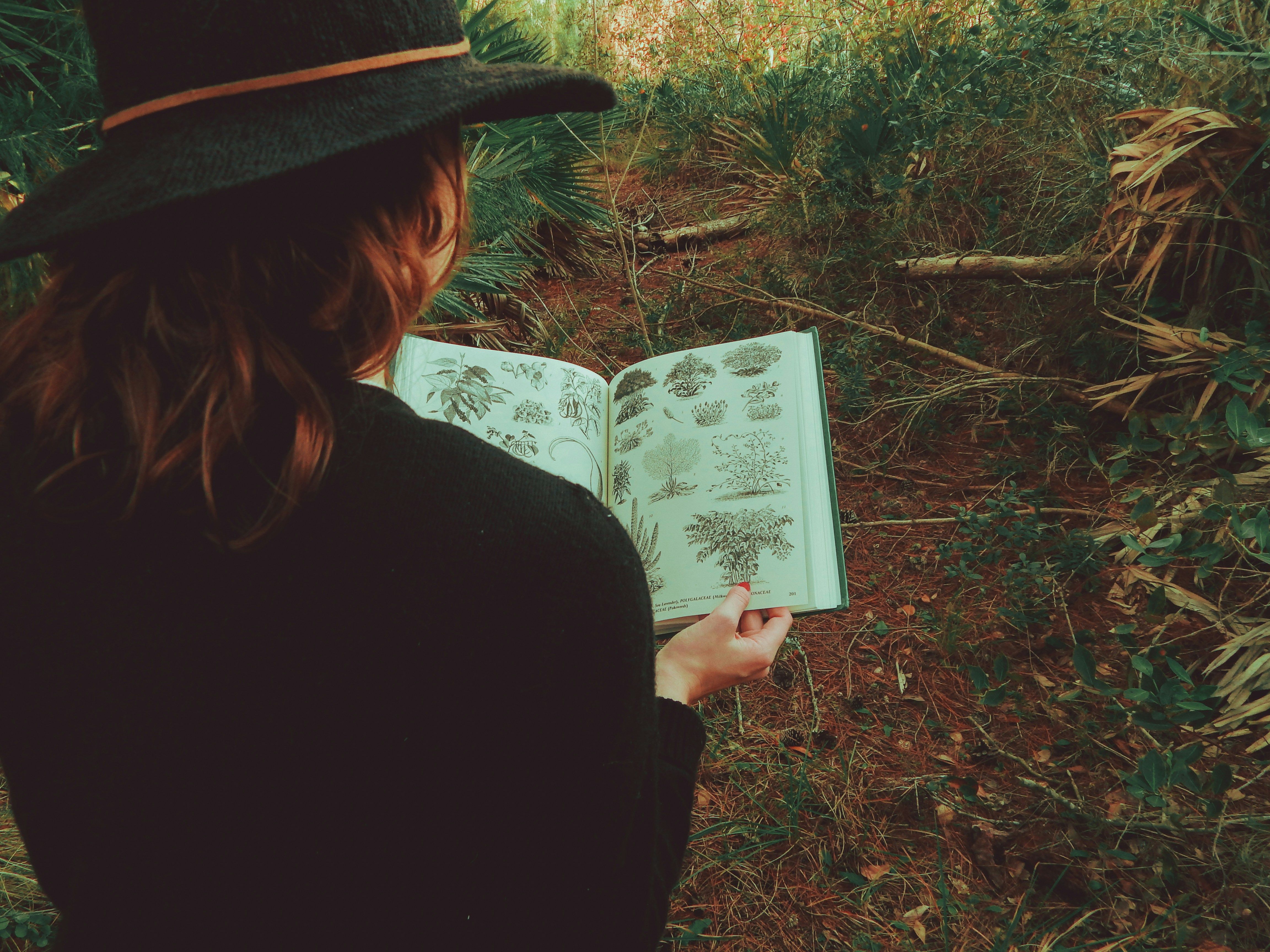 2027 How to Become a Forest Ranger: Salary & Career Paths thumbnail